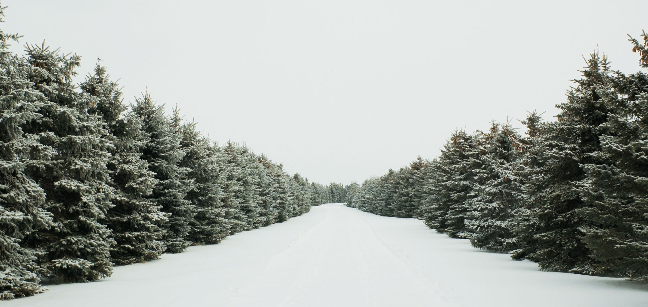 OFF-ROAD MODE - SNOW Mode - OUTLANDER