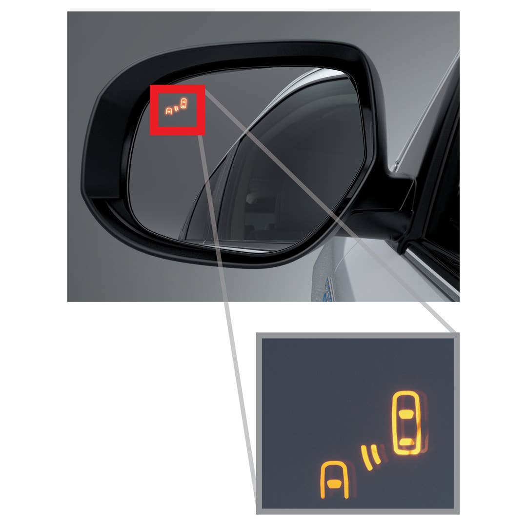 Parking Assistance: Door Mirror Tilt Down Function